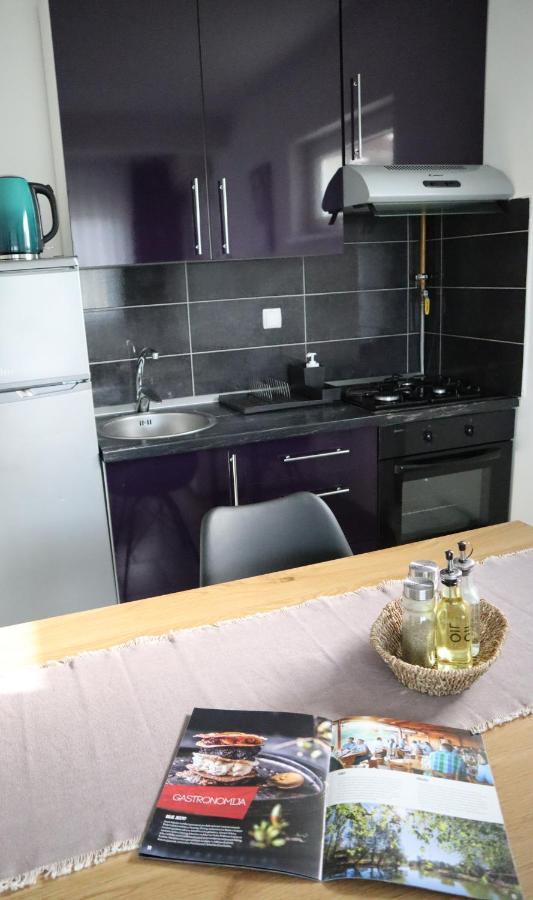 Apartment Sandra Toplice Sveti Martin Sveti Martin Na Muri Ngoại thất bức ảnh